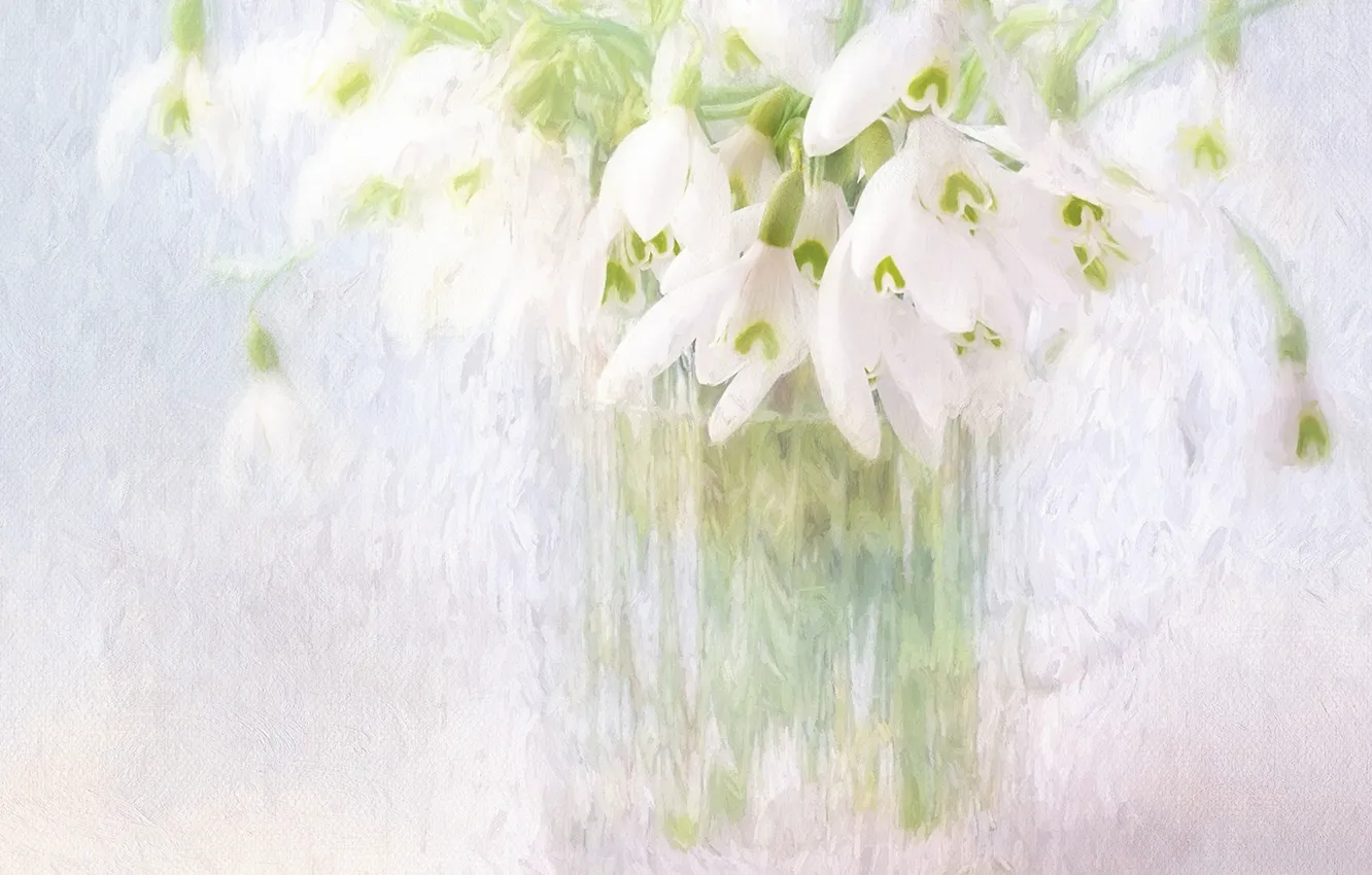 Photo wallpaper flowers, bouquet, snowdrops, light background