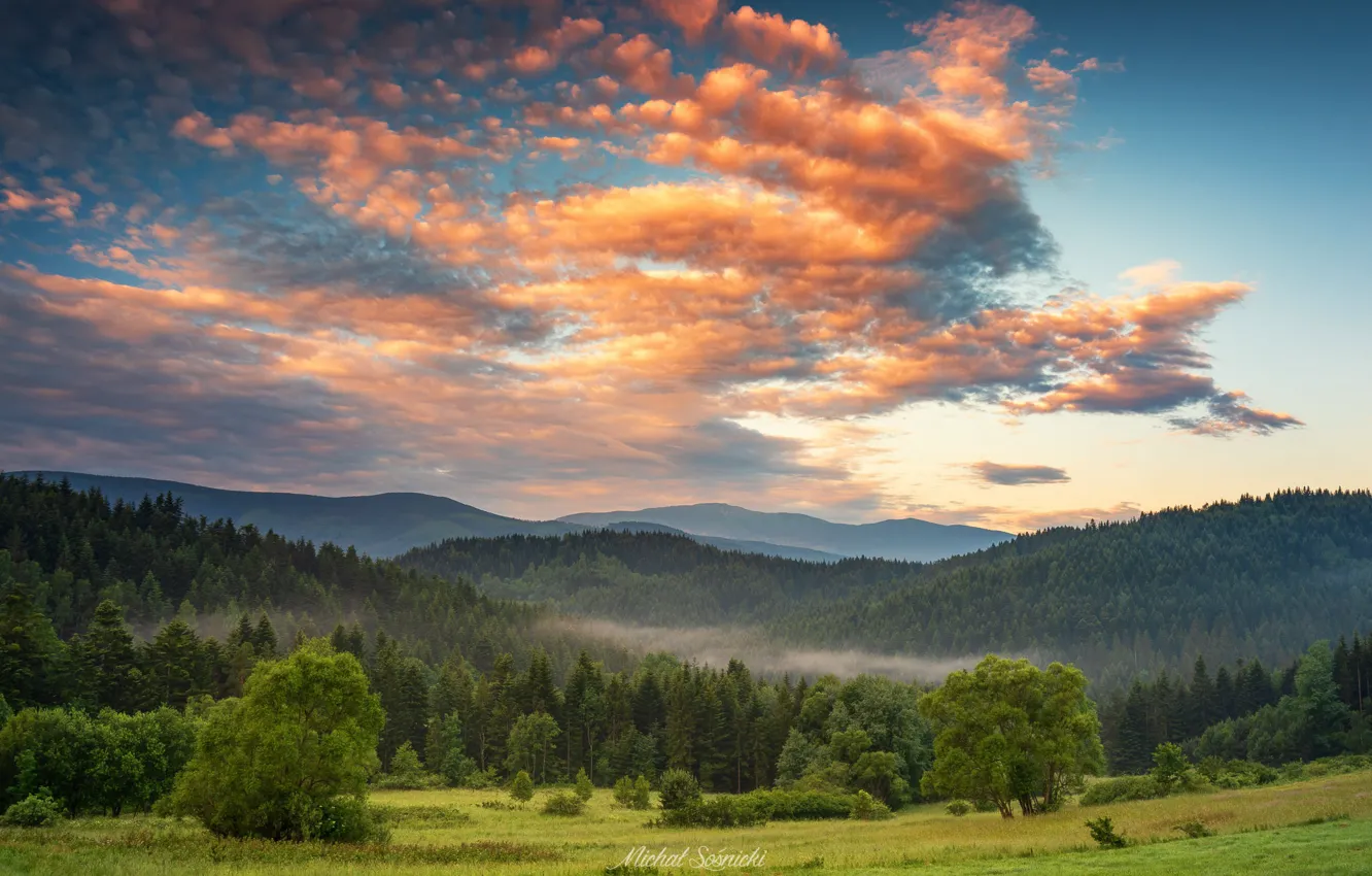 Photo wallpaper forest, the sky, clouds, sunset, mountains, nature, Sośnicki Michael