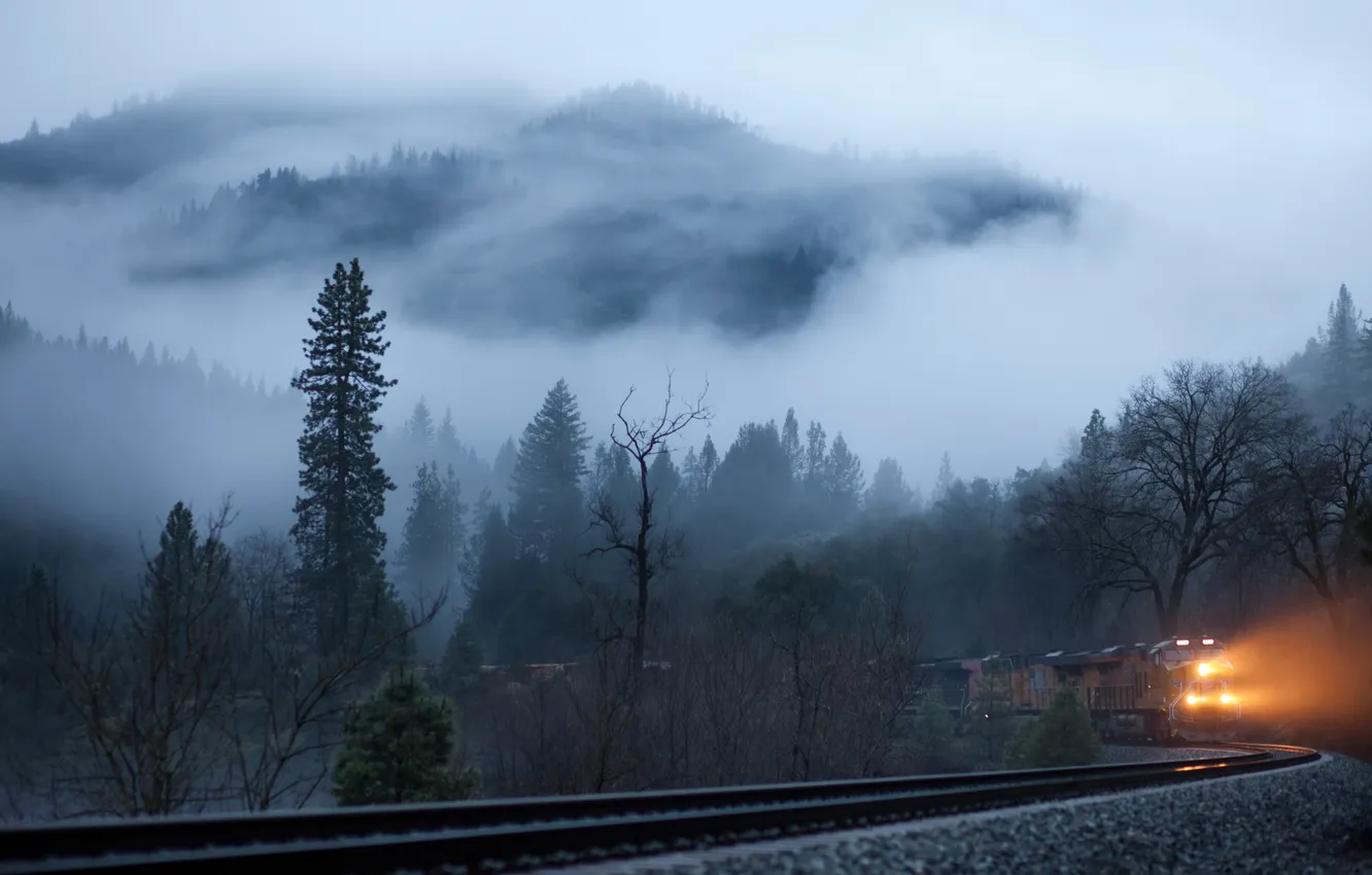 Photo wallpaper forest, landscape, mountains, nature, fog, train, railroad, forest