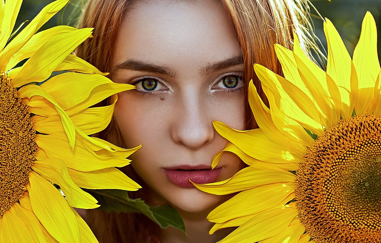 Photo wallpaper girl, sunflowers, Aliona Turcan, Vyacheslav Turcan