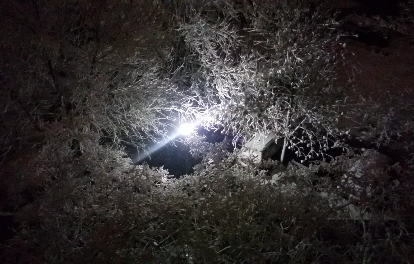 Photo wallpaper Winter, Trees, Snow, Lantern, Beauty beside
