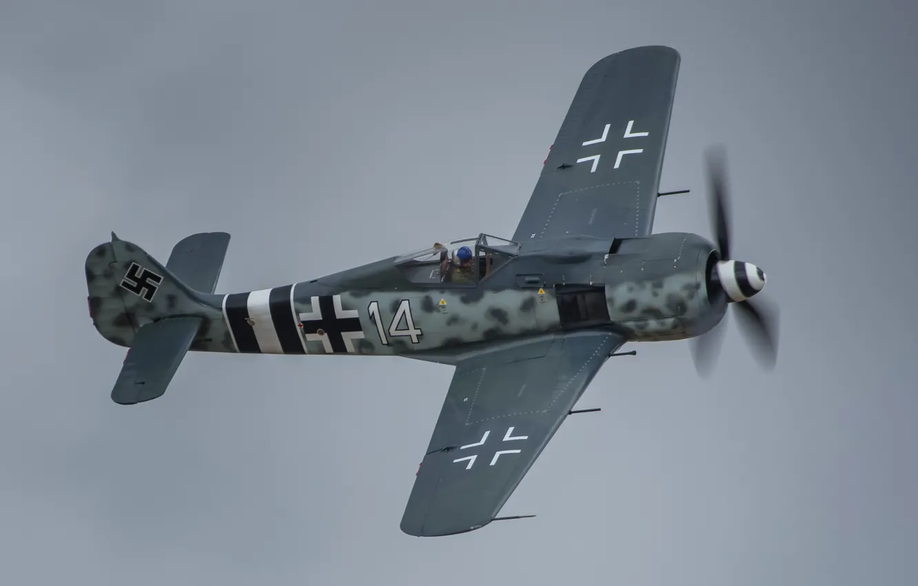 Photo wallpaper flight, fighter, Focke-Wulf