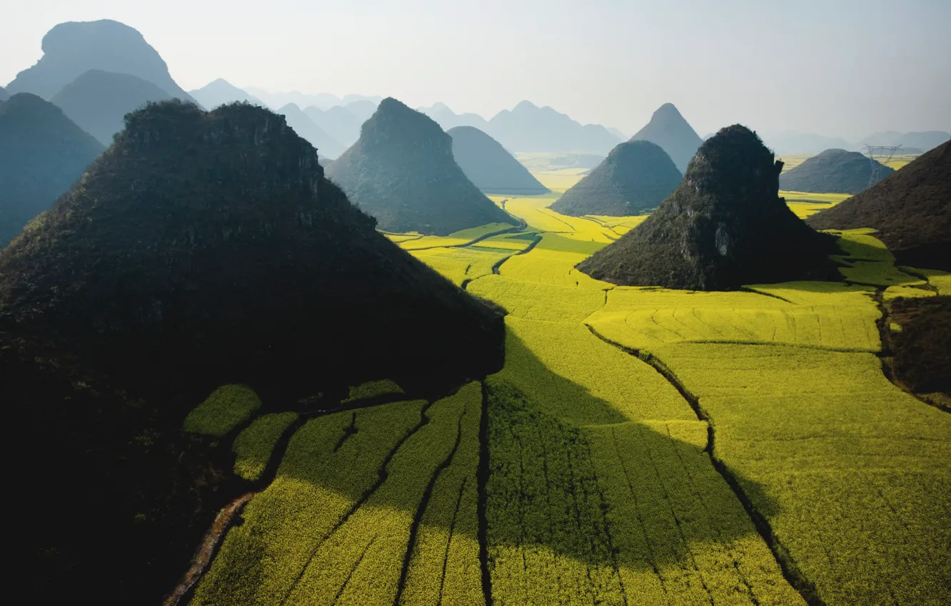 Photo wallpaper green, apple, wide, sky, field, mountain