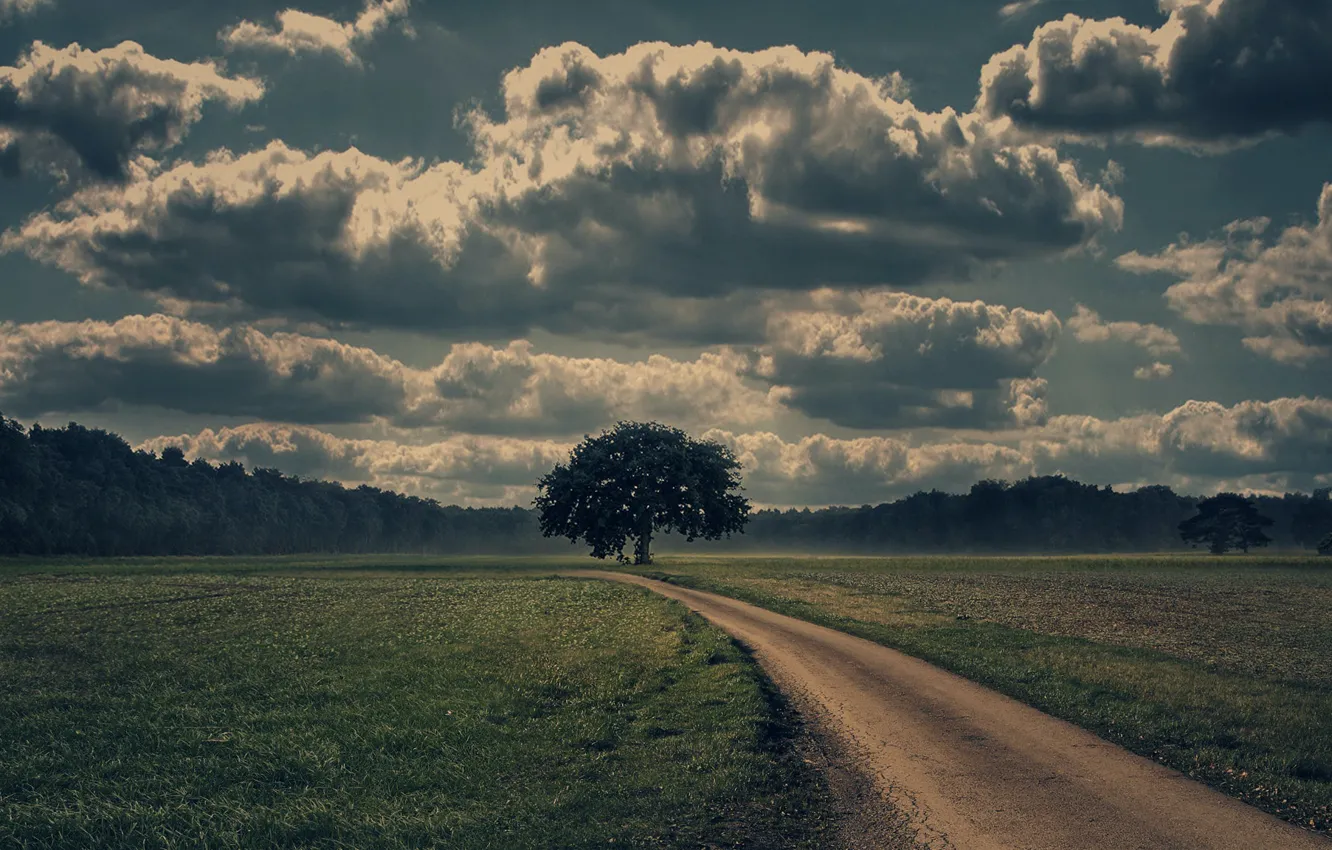 Photo wallpaper road, clouds, green grass, beauty, lonely tree, road, clouds, beauty