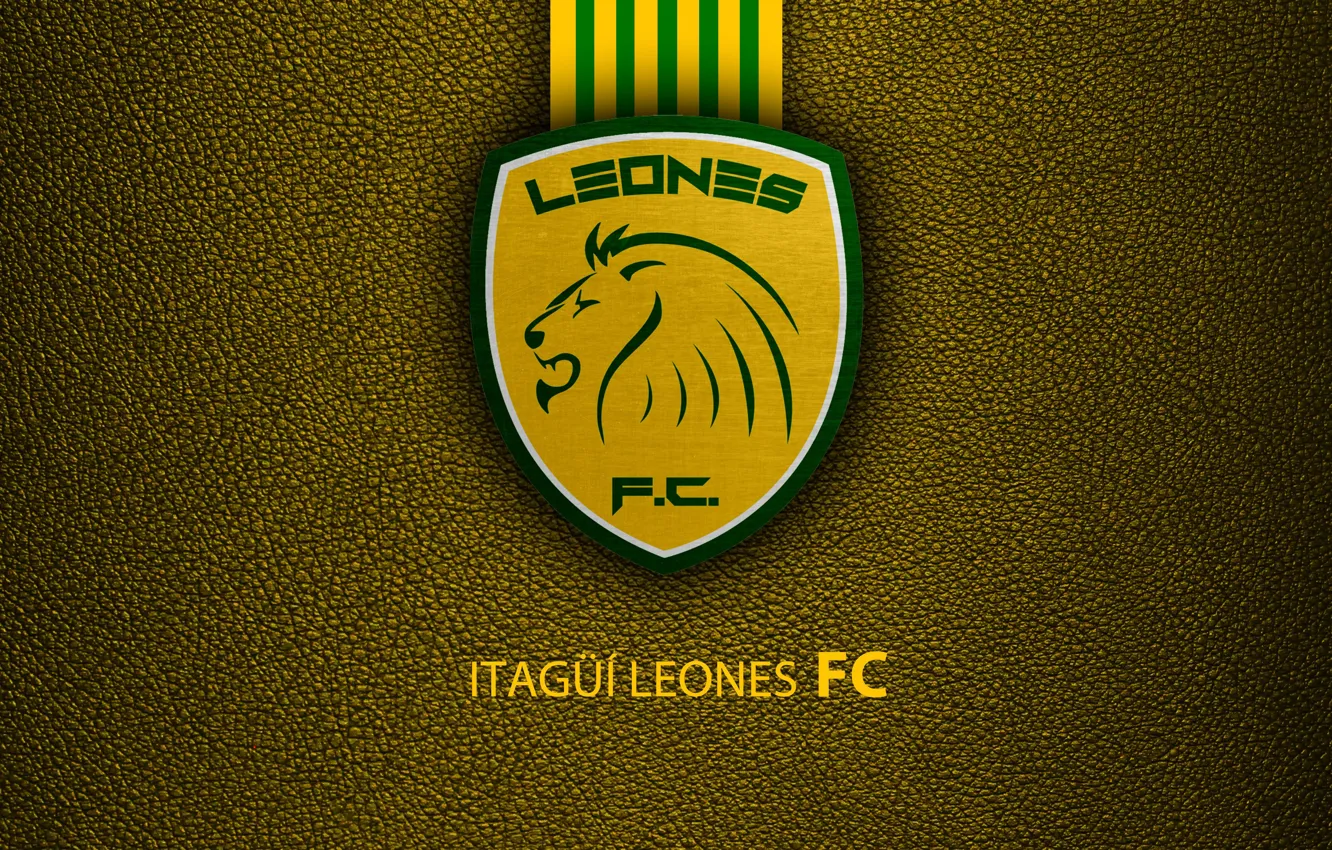 Photo wallpaper wallpaper, sport, logo, football, Lions