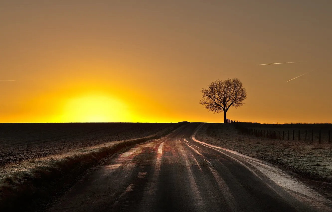 Photo wallpaper road, trees, sunset