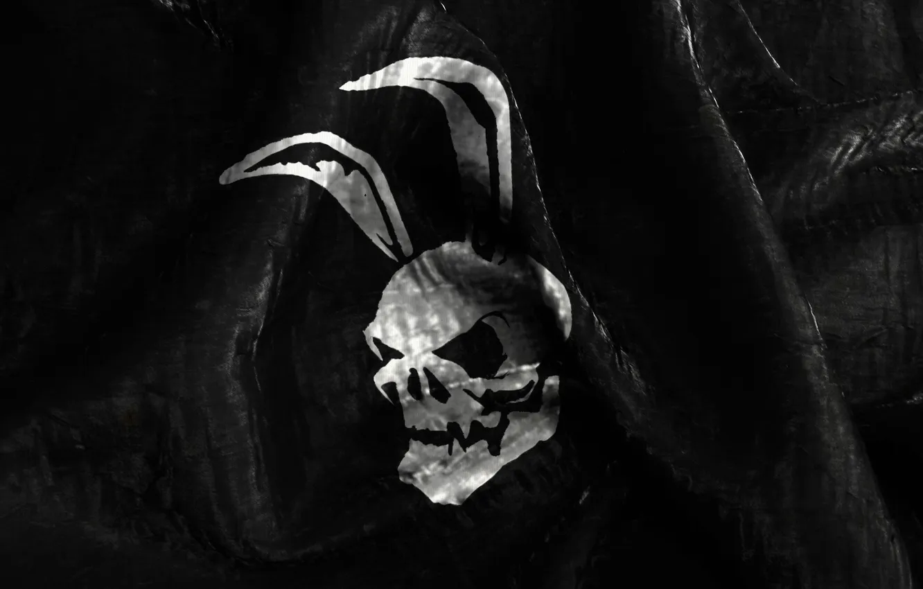 Photo wallpaper flag, Jolly Roger, Guristas