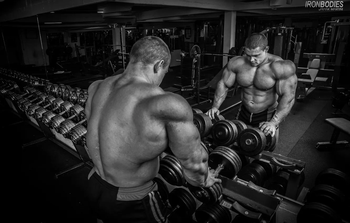 Photo wallpaper Bodybuilding, Gym, Lesukov