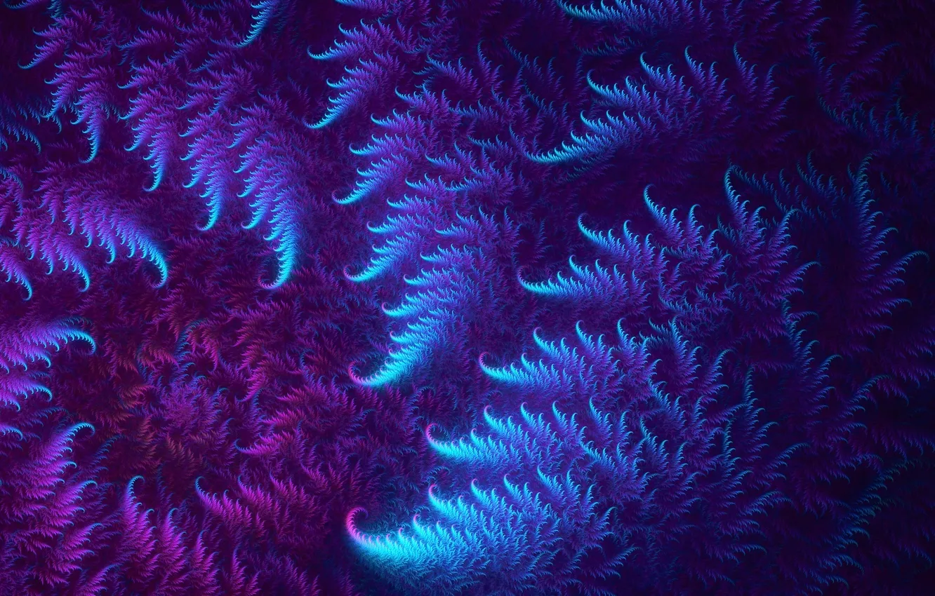 Photo wallpaper purple, curls, fractal