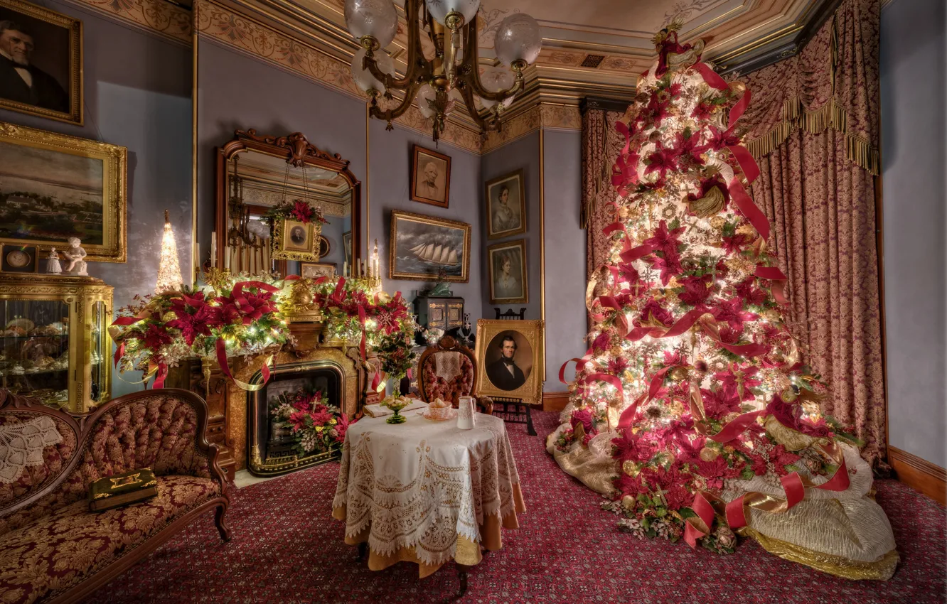 Photo wallpaper room, holiday, tree