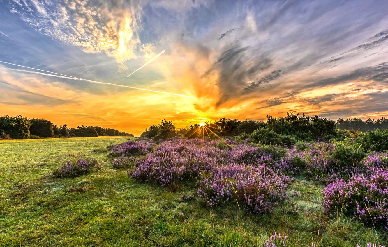Photo wallpaper landscape, nature, beauty