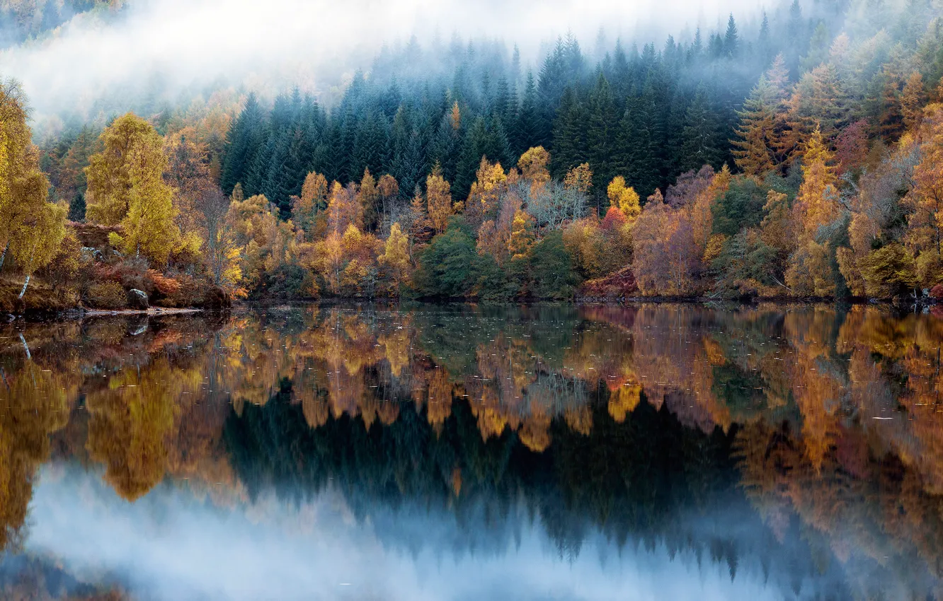 Photo wallpaper autumn, forest, reflection, nature, lake