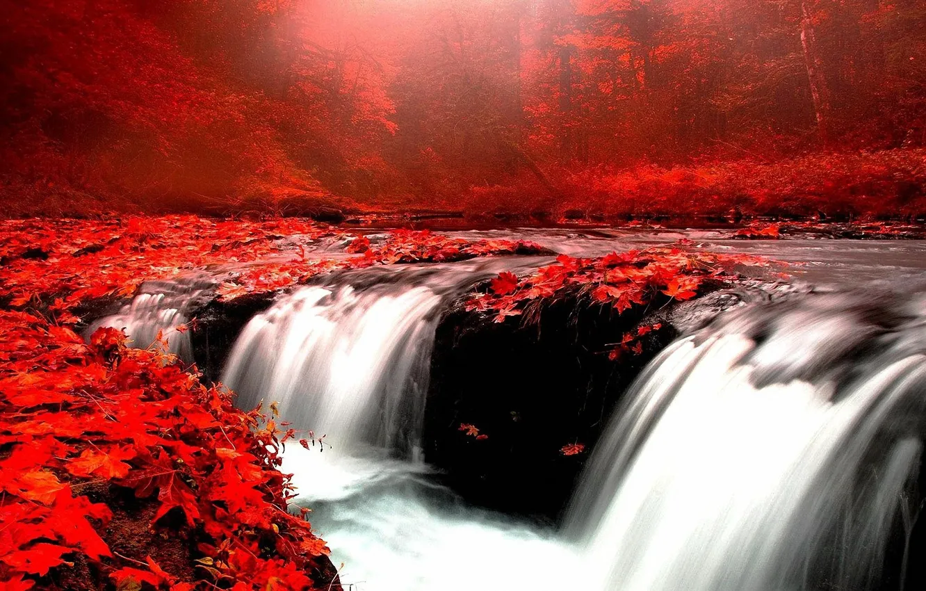 Photo wallpaper autumn, forest, nature, river, waterfall