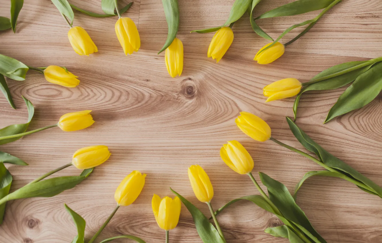 Photo wallpaper flowers, tulips, buds, yellow, wood, flowers