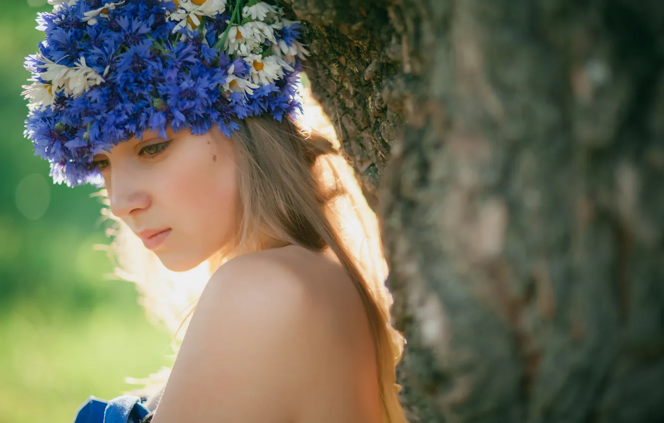 Photo wallpaper summer, girl, trees, chamomile, wreath, cornflowers
