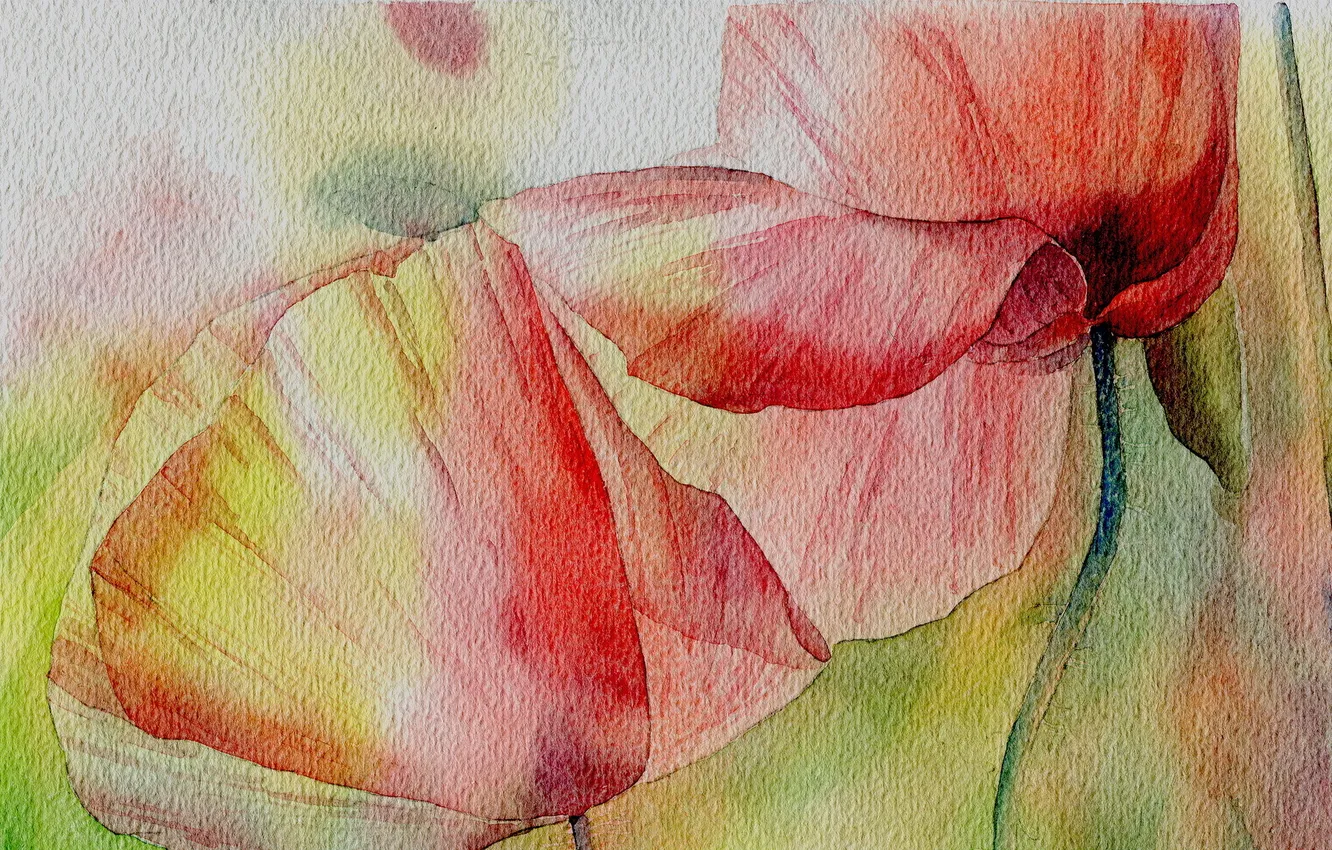 Photo wallpaper flowers, figure, Maki