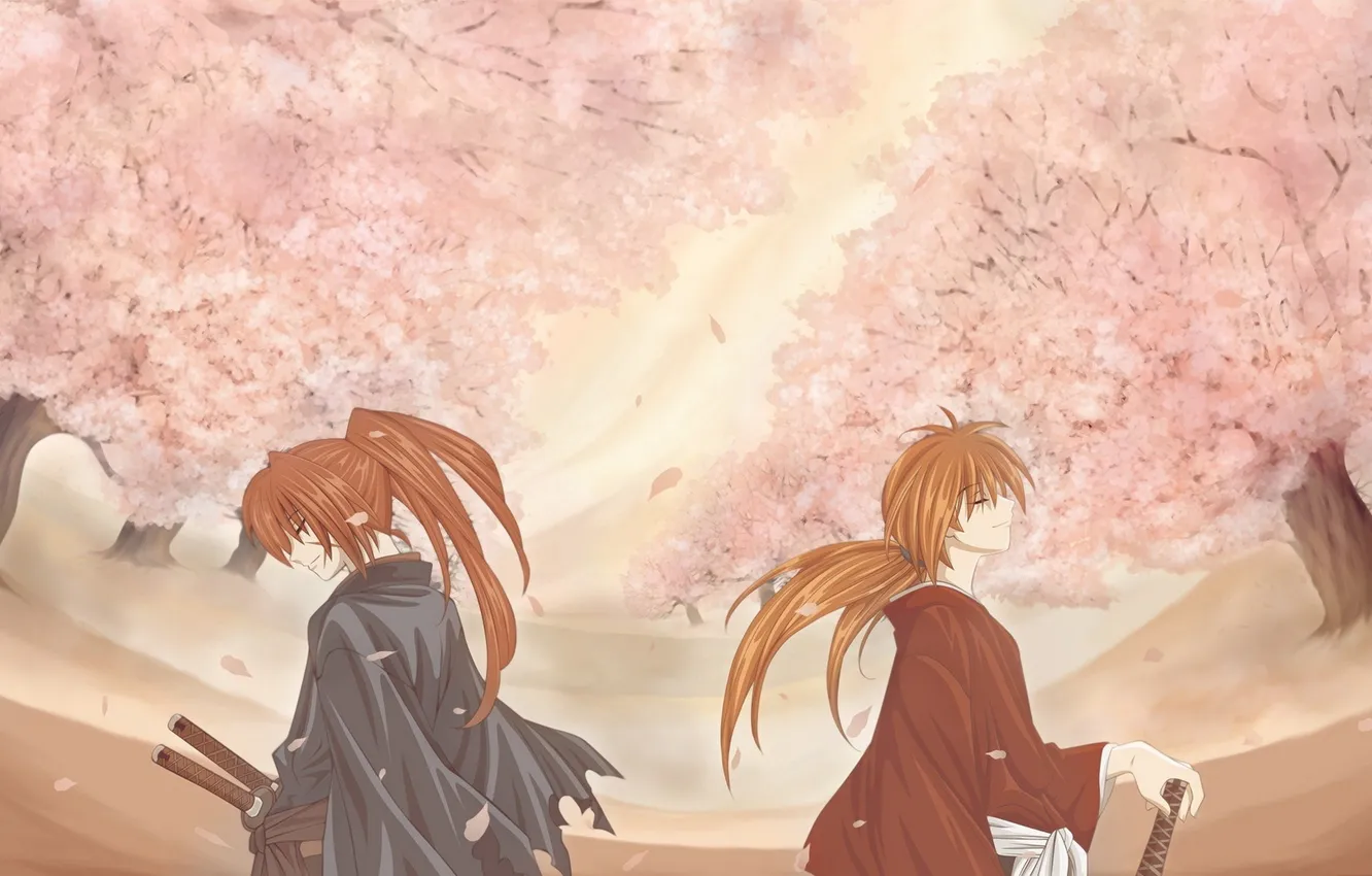 Photo wallpaper petals, Sakura, samurai, flowering, rurouni kenshin, hitokiri battousai, himura, Kenshin
