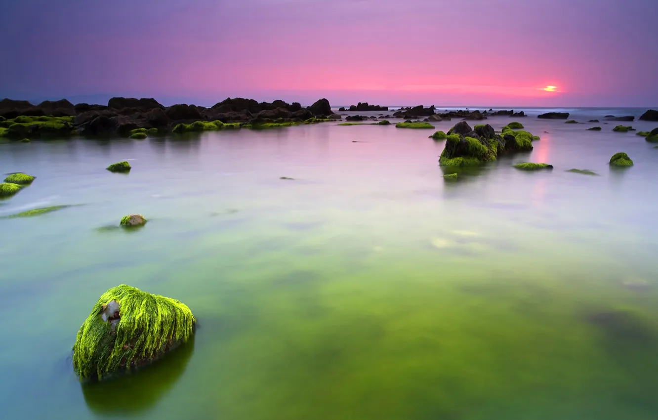 Photo wallpaper sea, water, stones, the ocean, morning, green