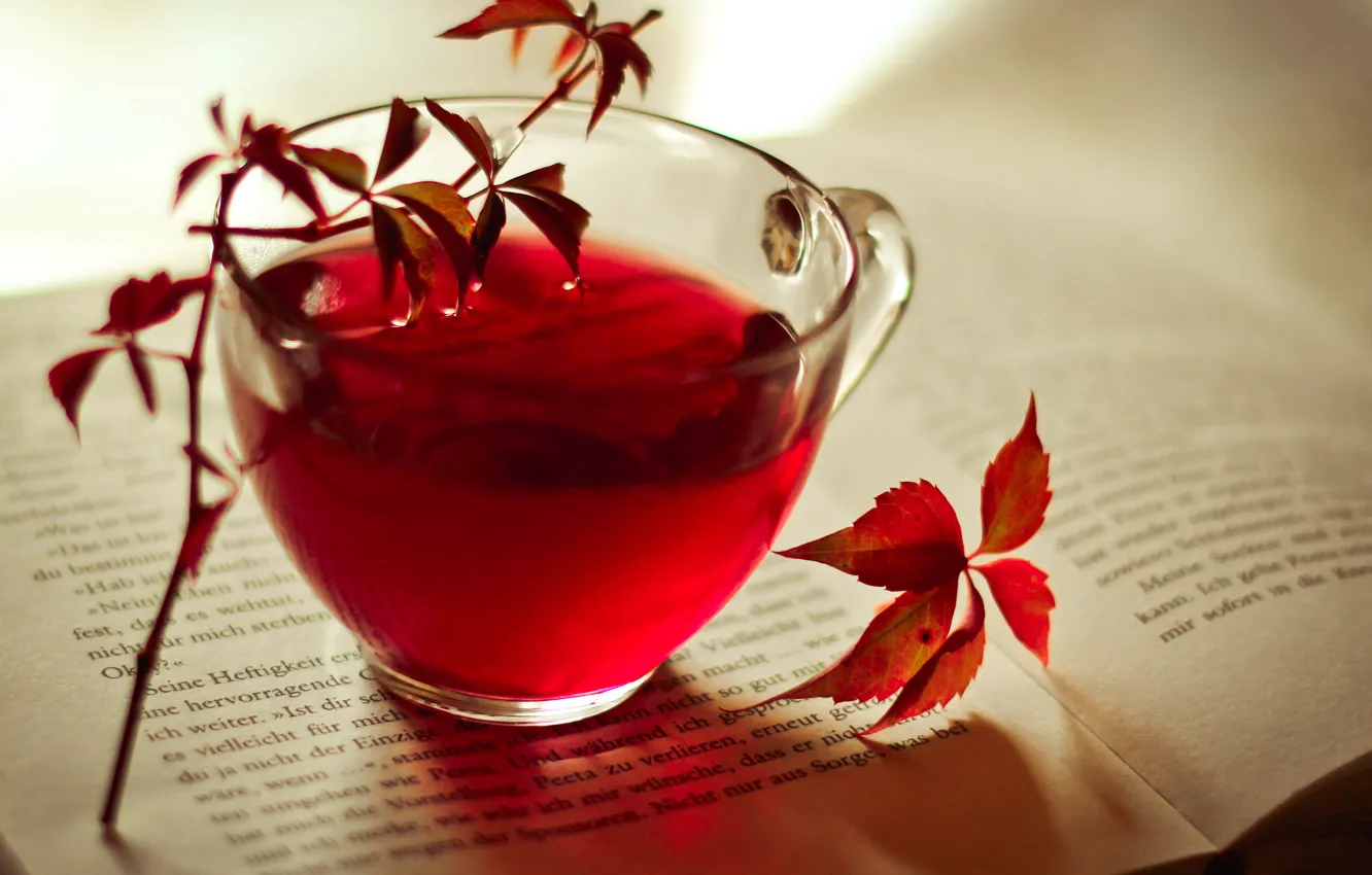 Photo wallpaper autumn, leaves, tea, Cup, red, book, Burgundy
