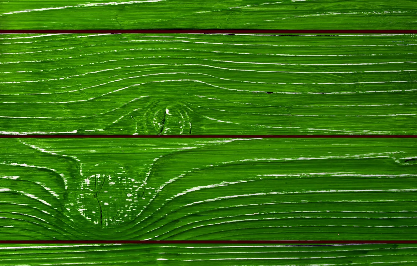Photo wallpaper trees, green, paint, Board