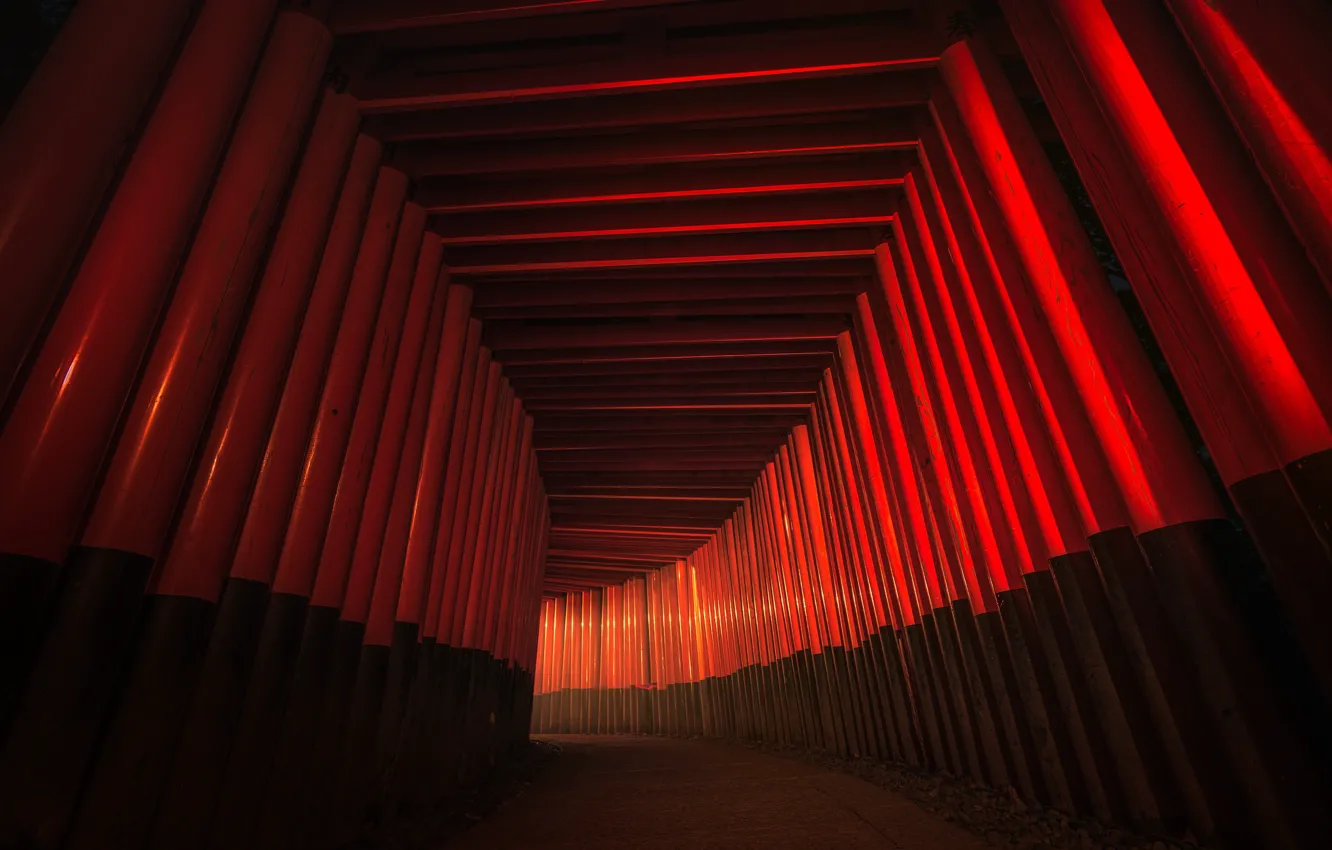 Photo wallpaper the city, street, Japan