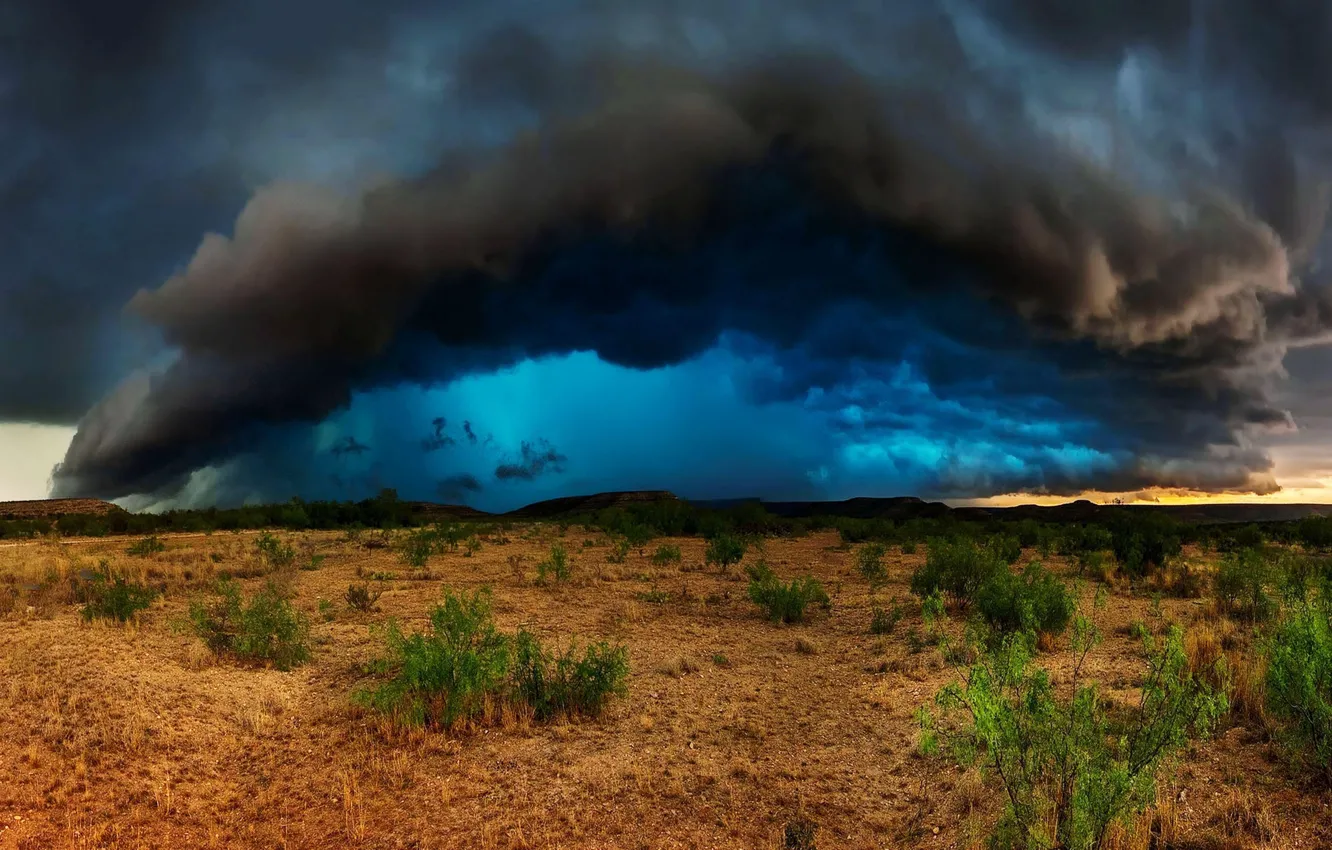 Photo wallpaper the storm, the sky, clouds, the steppe, the bushes, sky, clouds