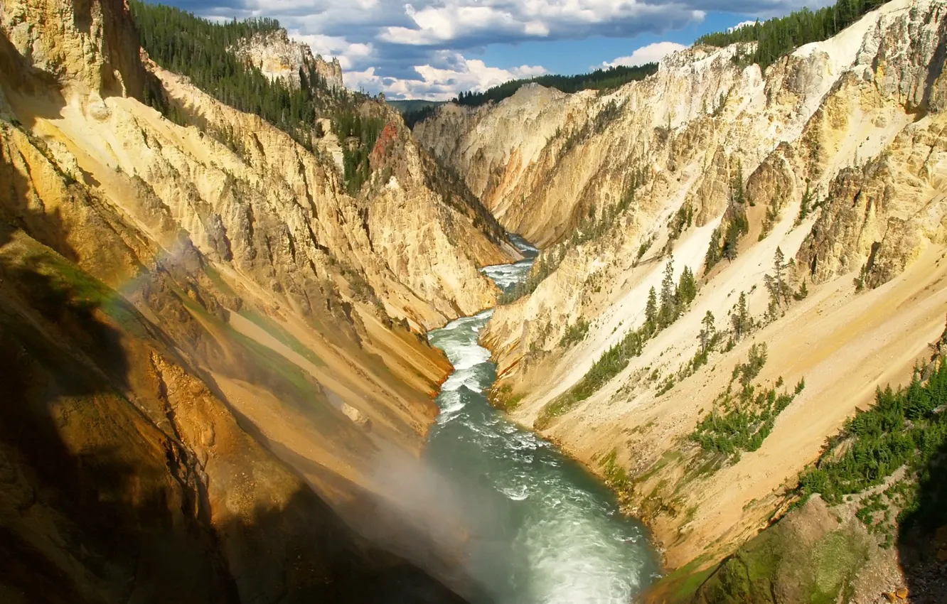 Photo wallpaper trees, river, canyon