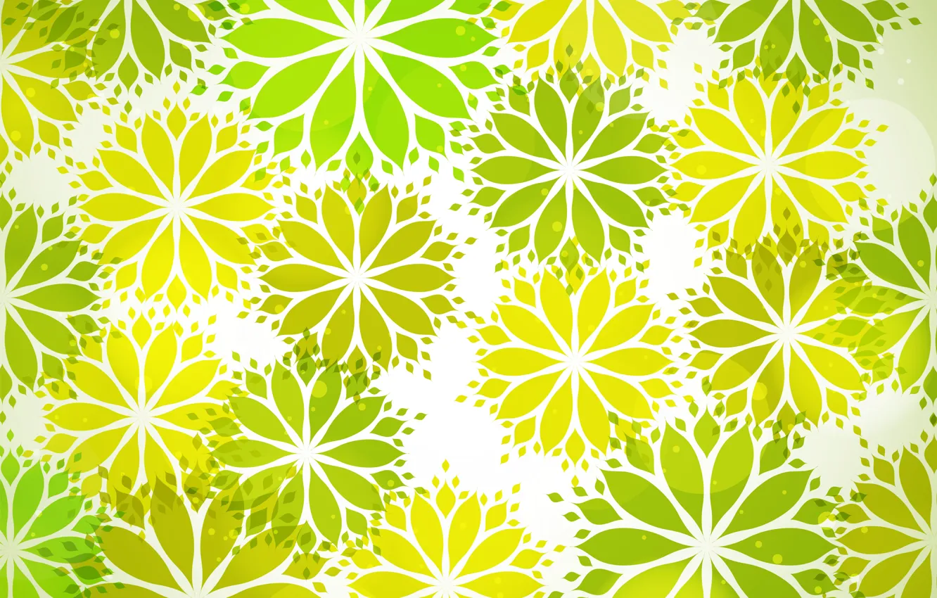 Photo wallpaper flowers, green, texture, flower, with, pattern, leaves, shape