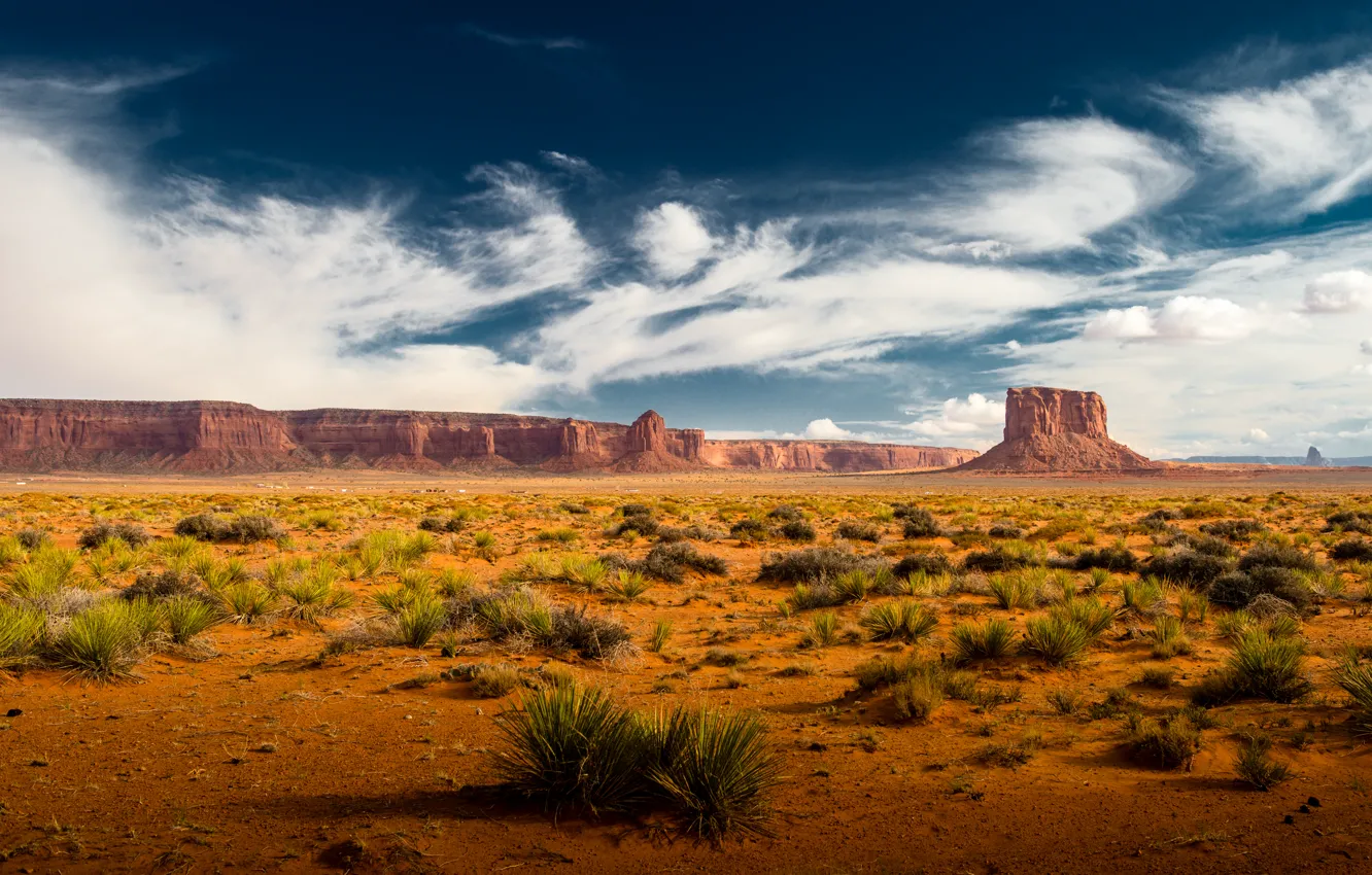 Photo wallpaper grass, clouds, rocks, desert