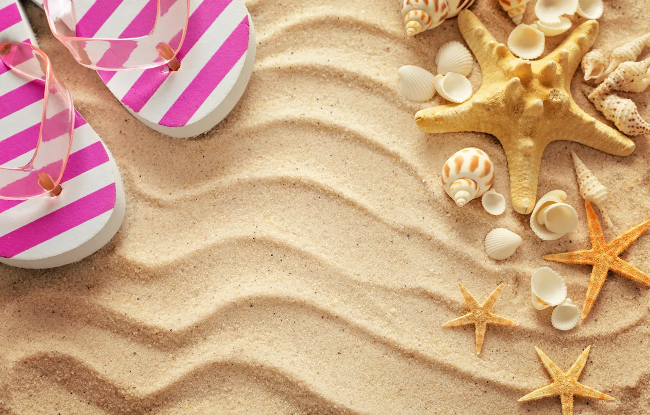 Photo wallpaper sand, beach, summer, stay, shell, summer, beach, vacation