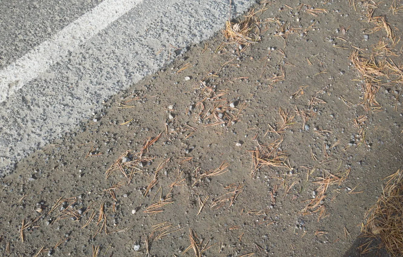 Photo wallpaper asphalt, needles, markup, baby, stones.