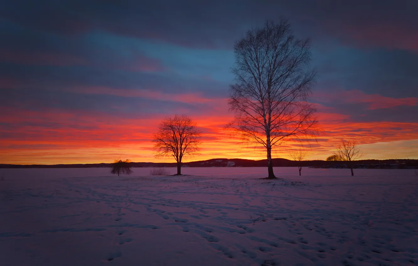 Photo wallpaper winter, field, the sky, clouds, snow, trees, nature, glow
