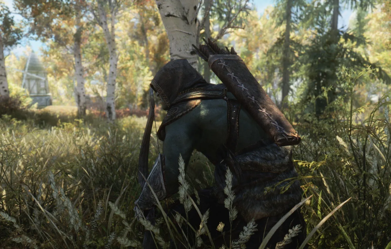 Photo wallpaper Orc, Archer, sneaks, Skyrim, Skyrim, The Elder Scrolls, TES