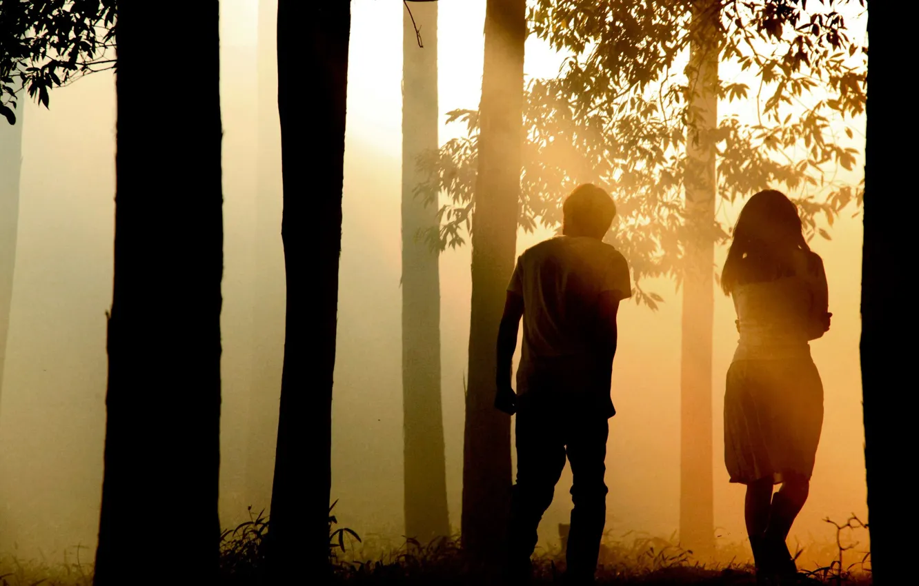 Photo wallpaper forest, fog, morning, two