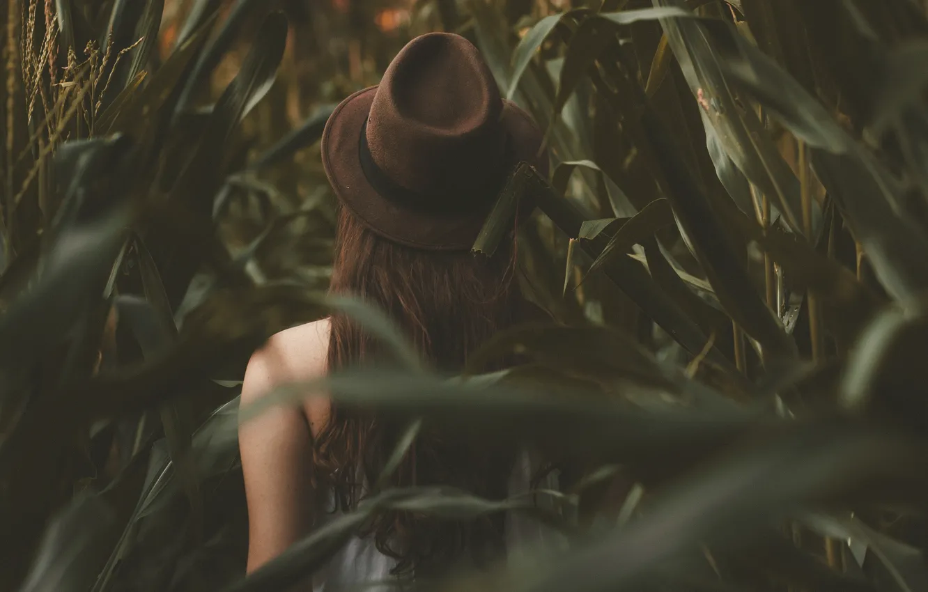 Photo wallpaper girl, forest, brown, walking, wearing