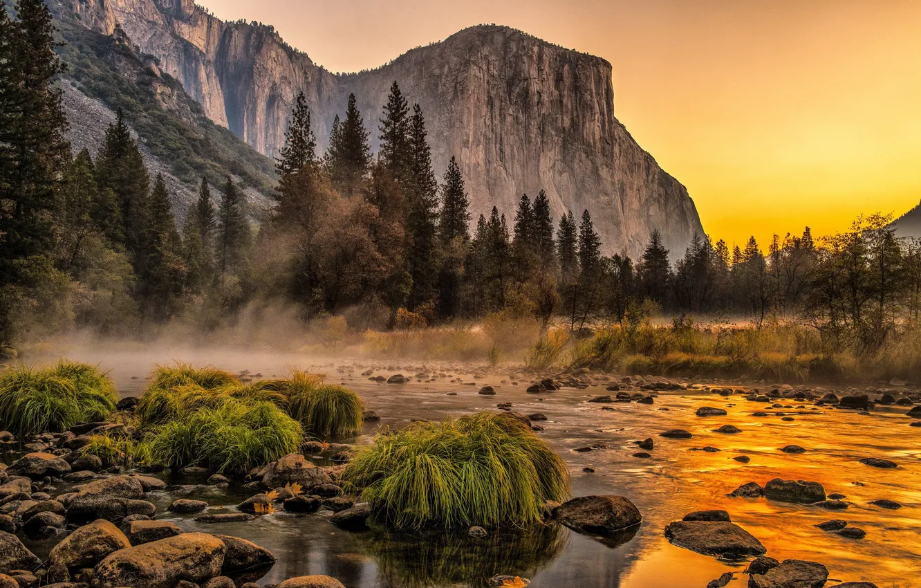 Photo wallpaper forest, grass, sunset, mountains, fog, stones, rocks, shore