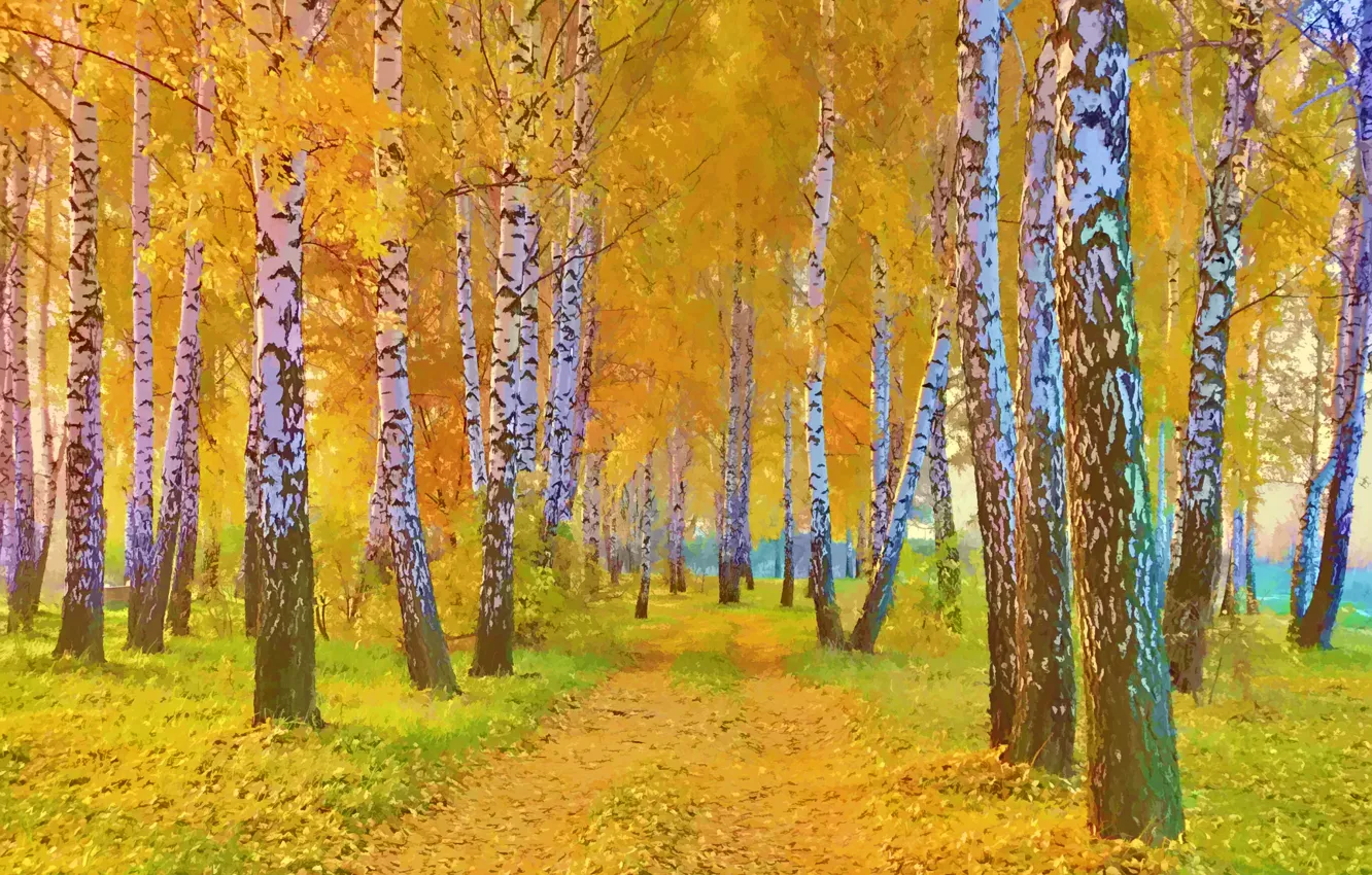 Photo wallpaper road, autumn, grass, leaves, trees, landscape, picture, birch