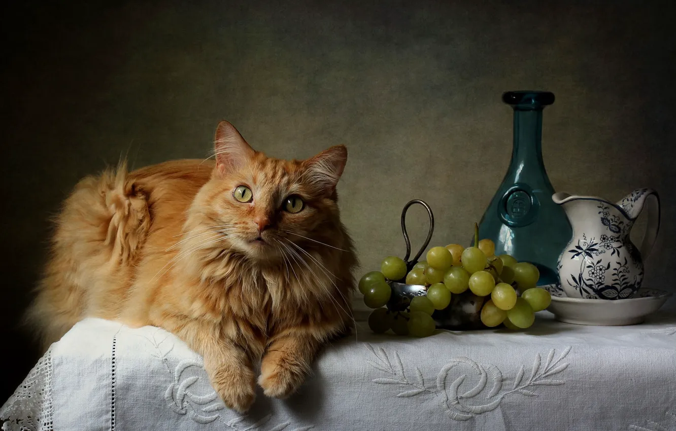 Photo wallpaper cat, grapes, vase, red