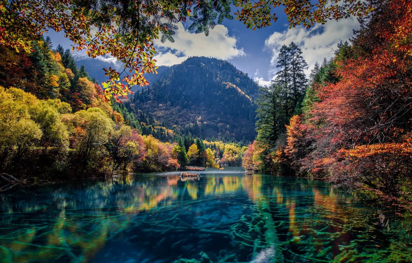 Photo wallpaper autumn, trees, mountains, nature, lake, river