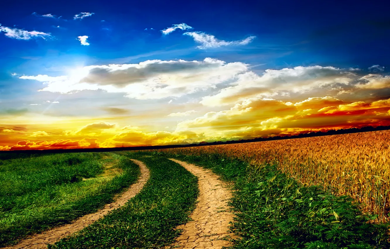 Photo wallpaper field, the sky, grass, clouds, landscape, sunset, nature, road