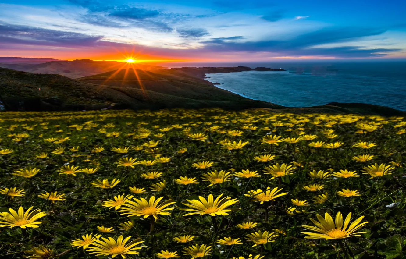 Photo wallpaper the sun, rays, landscape, sunset, flowers, nature, the ocean, USA