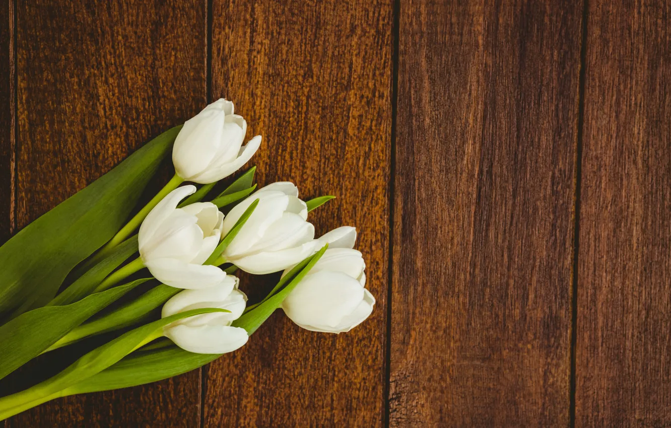 Photo wallpaper flowers, bouquet, tulips, white, white, wood, flowers, tulips