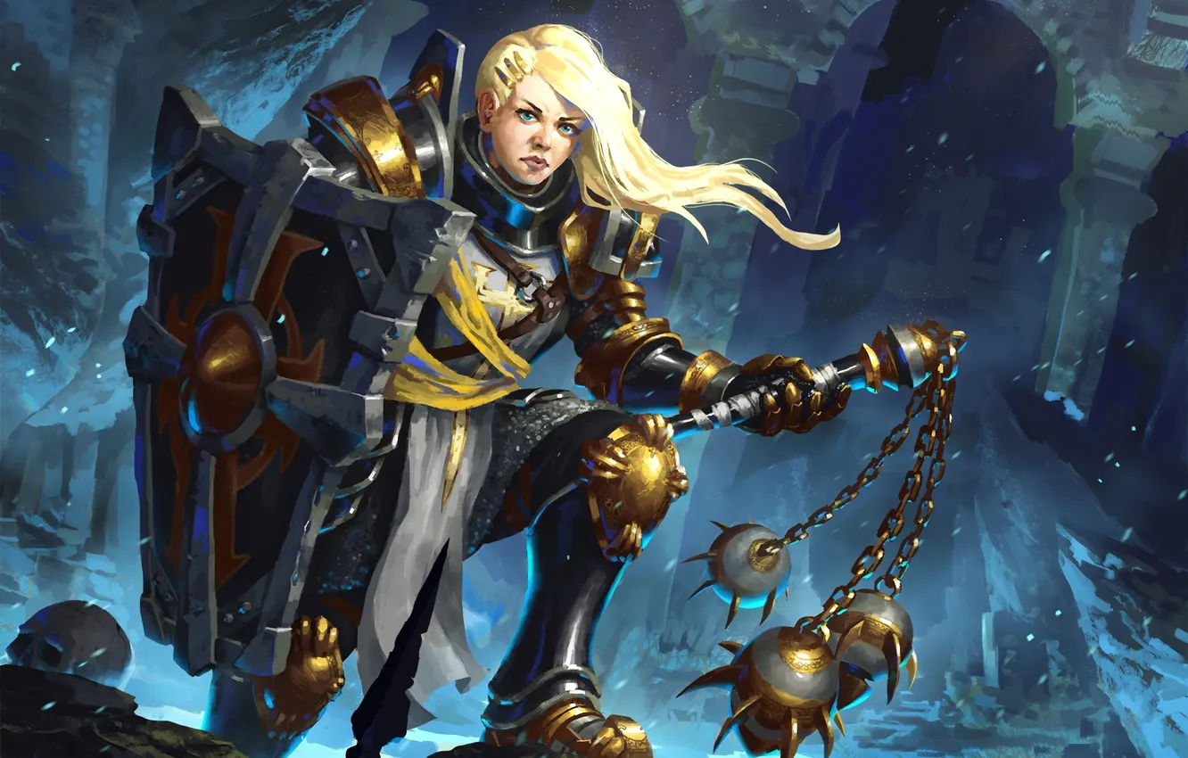 Photo wallpaper Diablo 3, female, Reaper of Souls, Crusader