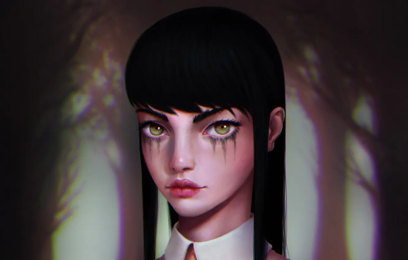 Photo wallpaper girl, face, art, Dylan, Golan the Insatiable, Dylan Beekler