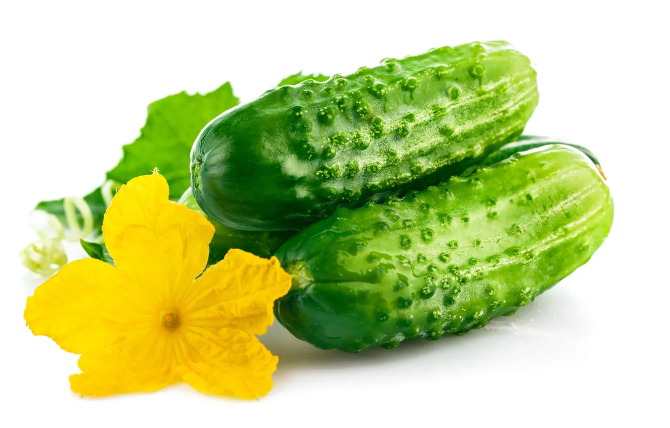 Photo wallpaper flower, vegetables, cucumbers