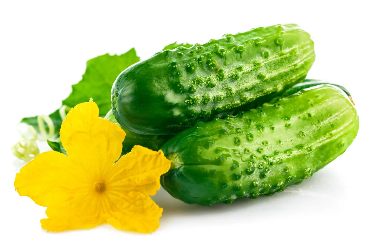 Photo wallpaper flowers, vegetables, cucumbers