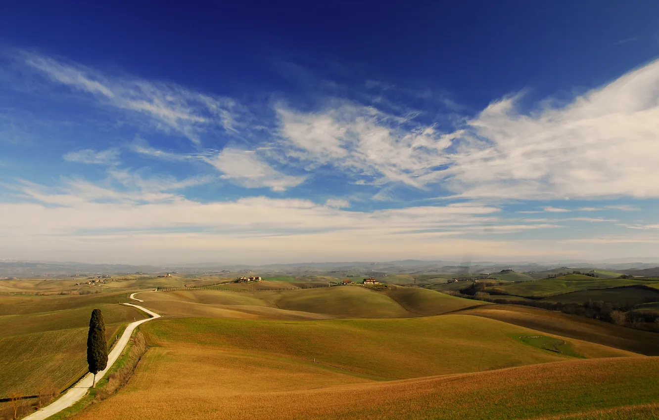 Photo wallpaper field, trees, Tuscany