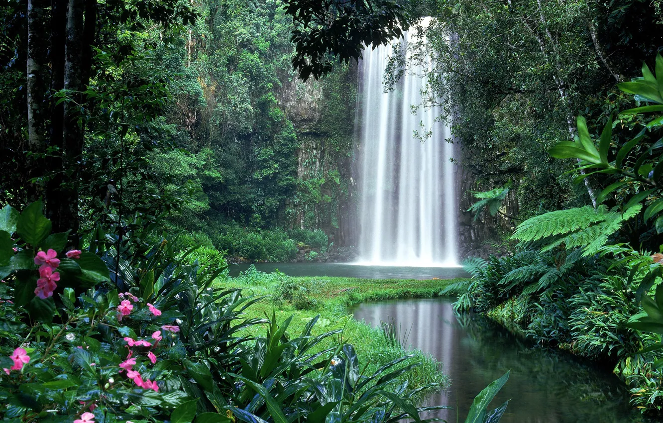 Photo wallpaper greens, tropics, thickets, waterfall, jungle, the bushes, Amazon