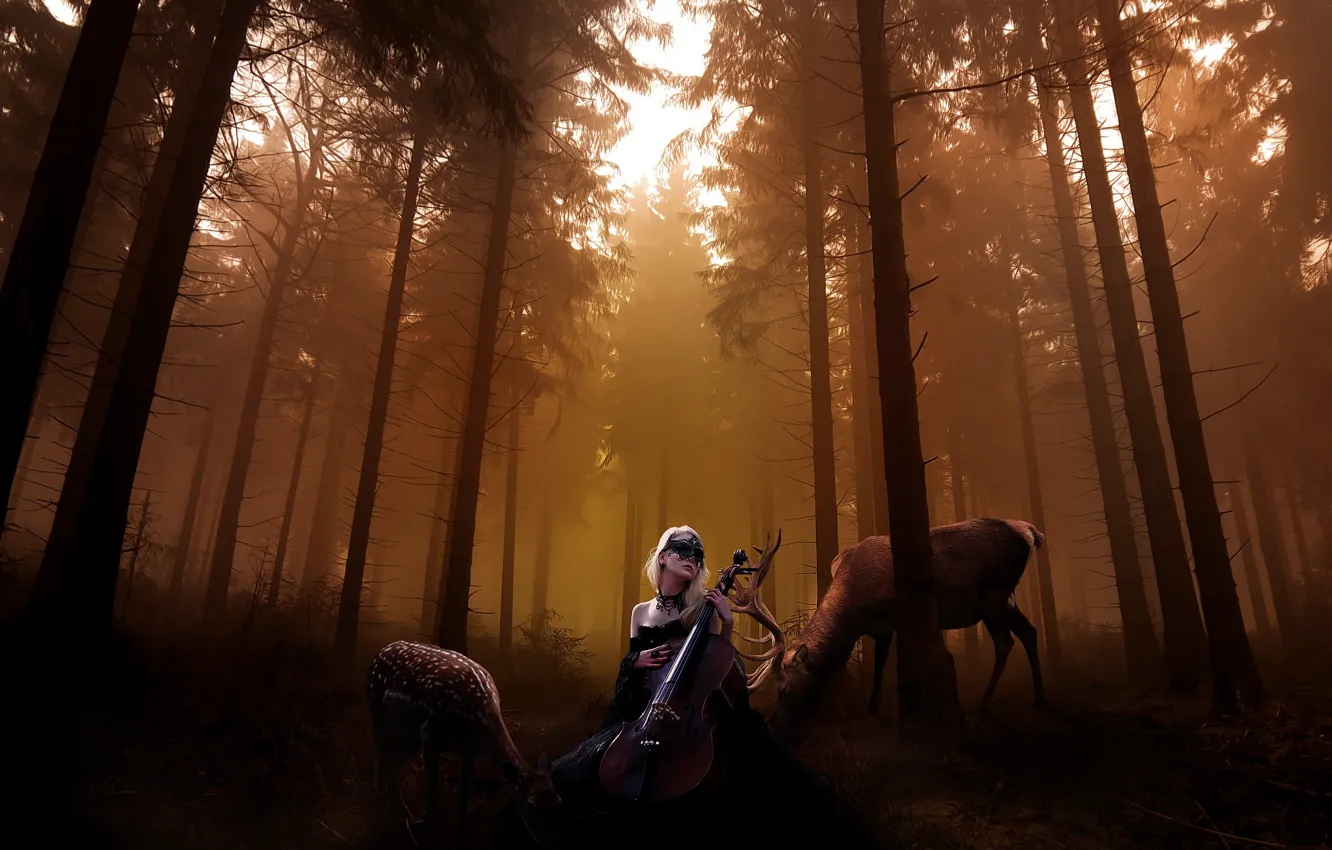 Photo wallpaper forest, girl, deer, photoart