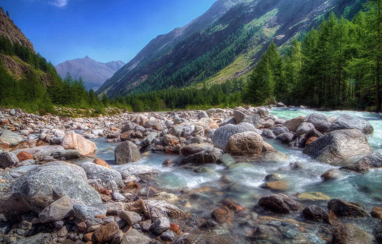 Photo wallpaper forest, summer, the sky, mountains, pebbles, river, blue, stones